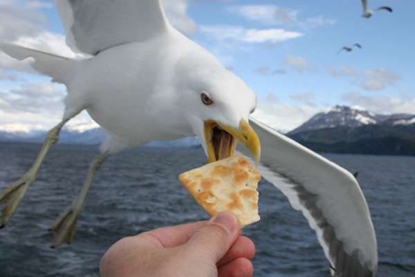 Visita a la Catedral de Bariloche, Argentina