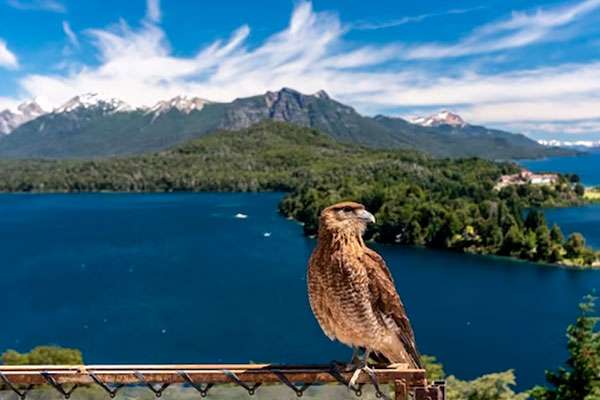 Recorriendo el Centro Cívico de Bariloche, Argentina