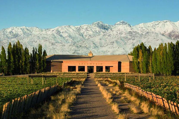 Wine tasting at a winery in Mendoza, Argentina