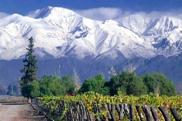 Visitando bodegas históricas en Mendoza, Argentina