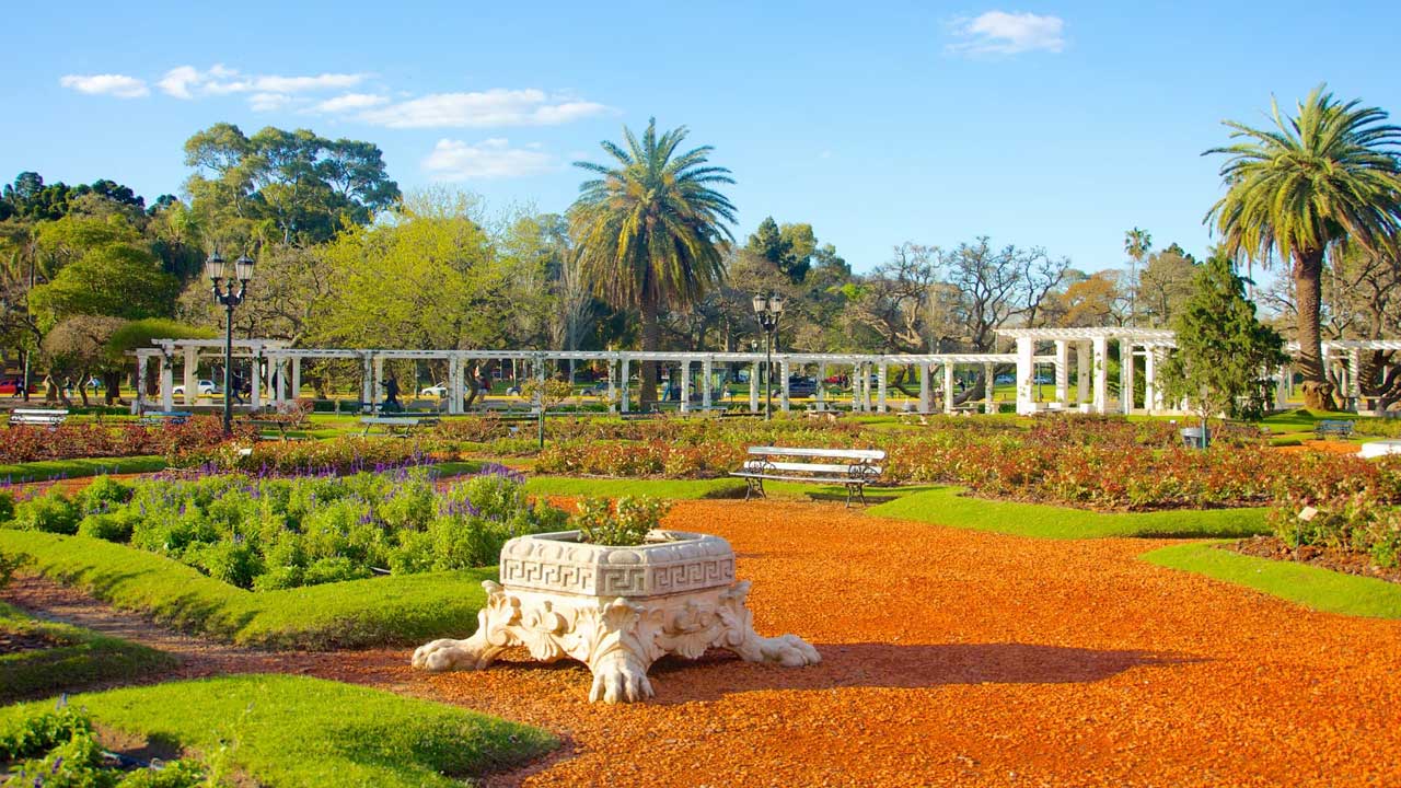 5 Embark on a 5-hour tour of Buenos Aires to explore its stunning architecture