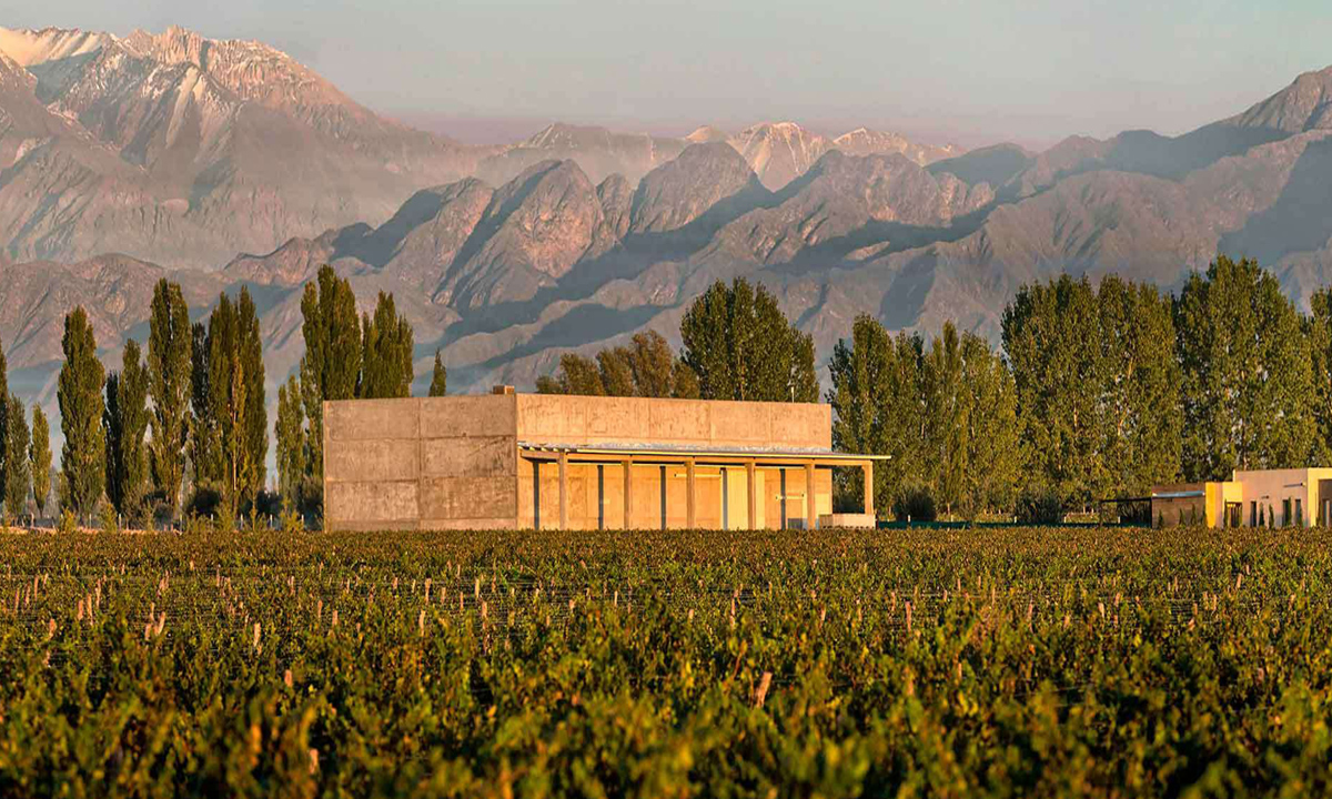 5 Embark on a luxurious journey to Mendoza with our exclusive wine tour.