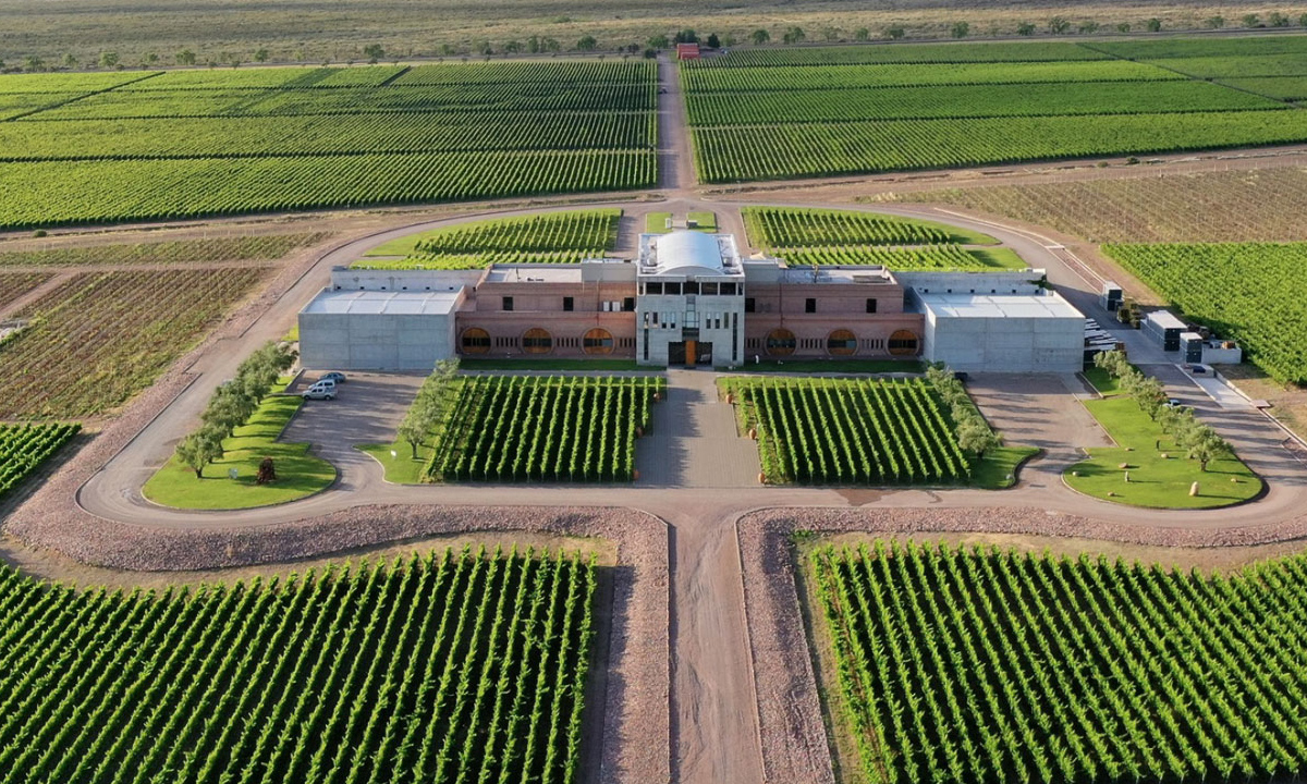 6 Embark on a luxurious journey to Mendoza with our exclusive wine tour.