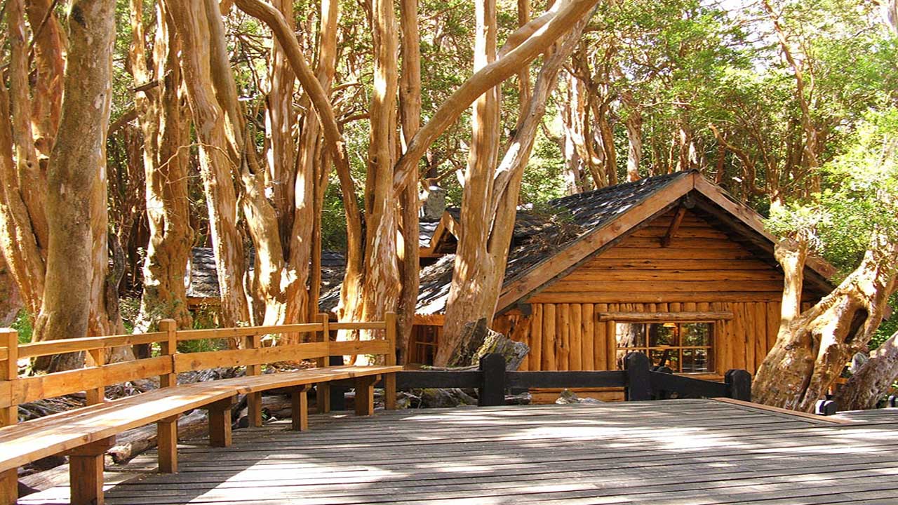 7 Descubre Bariloche en 5 días: Aventuras en Cerro Tronador, navegación a Puerto Blest, y ruta de los Siete Lagos. Incluye vuelos, alojamiento, y tours guiados.