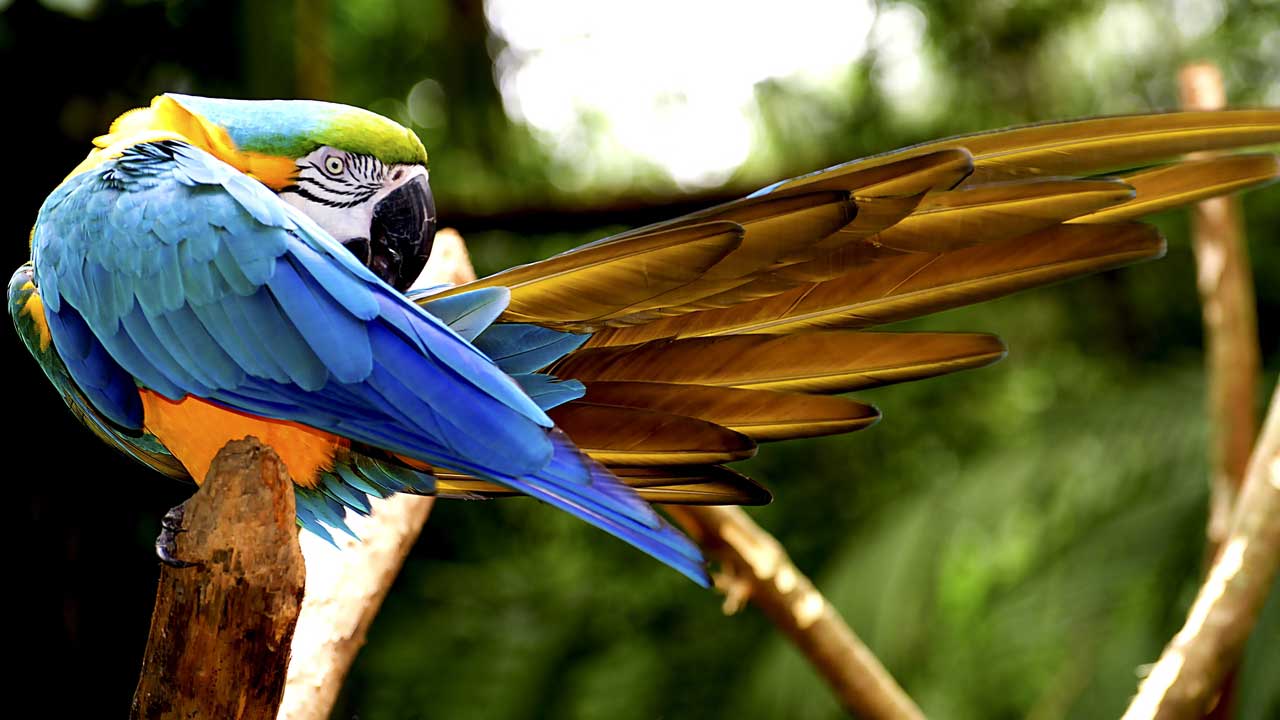 3 Sumérgete en Iguazú Deluxe: un viaje exclusivo que combina emocionantes aventuras, cultura auténtica y paisajes impresionantes.