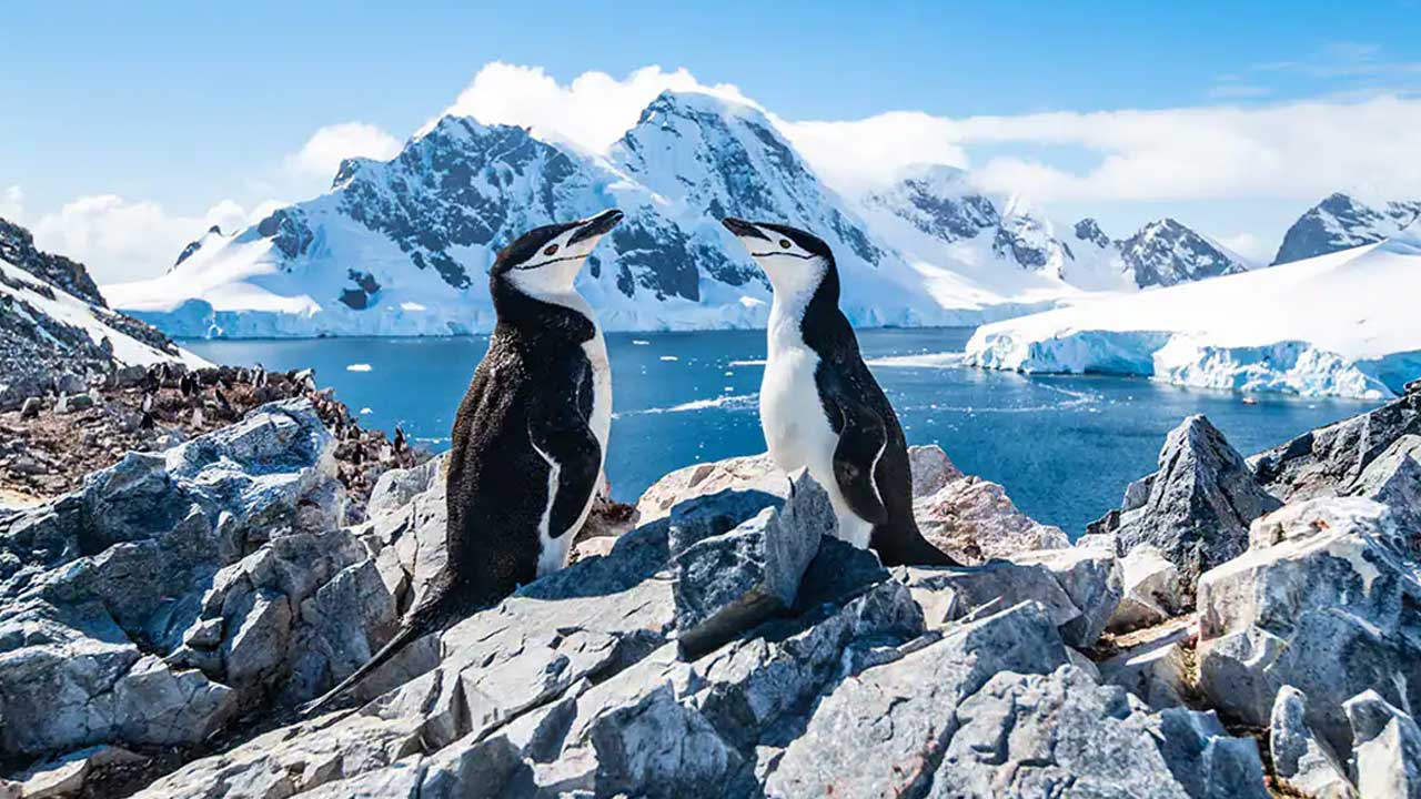 4 Join NCL Norwegian for an unforgettable cruise experience in 2025. Book early with 01Argentina Travel Agency to secure the best rates